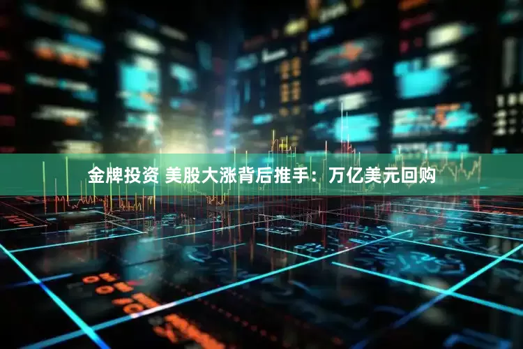 金牌投资 美股大涨背后推手：万亿美元回购
