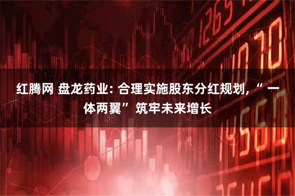 红腾网 盘龙药业: 合理实施股东分红规划, “ 一体两翼” 筑牢未来增长